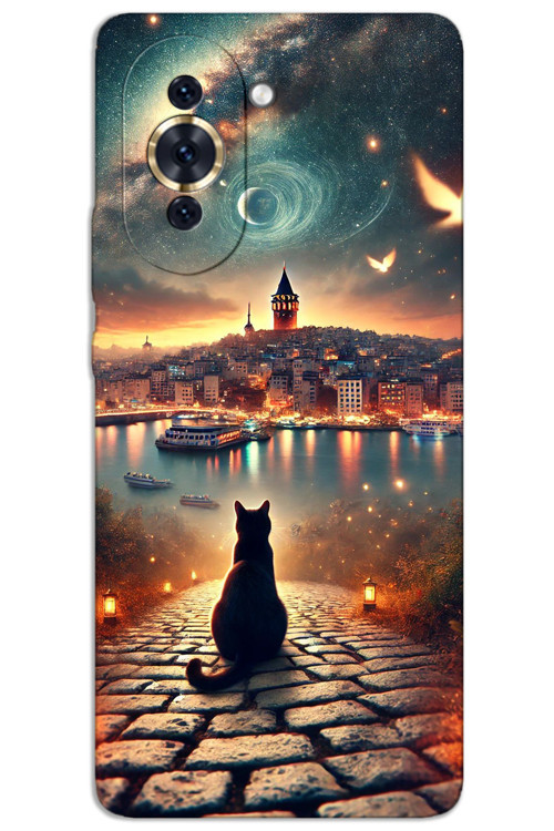 Huawei Nova 10 Kılıf HD Desen Baskılı Arka Kapak - Kedi Galata