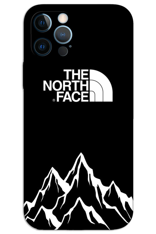 iPhone 12 Pro Kılıf HD Desen Baskılı Arka Kapak - The North