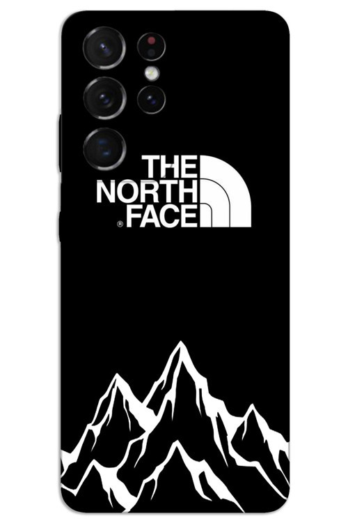 Samsung Galaxy S21 Ultra Kılıf HD Desen Baskılı Arka Kapak - The North
