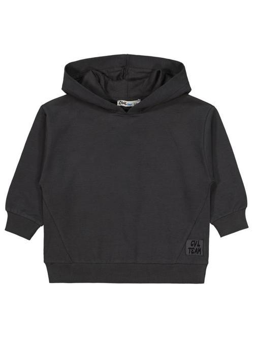 Cvl Team Etiketli 2-5 Yaş Sweatshirt - Gri3-4 Yaş