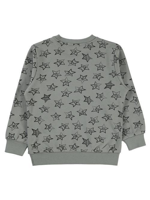 Empirme Yıldız Baskılı 2-5 Yaş Sweatshirt - Gri3-4 Yaş