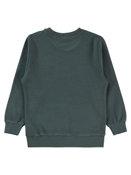 Panda Baskılı 2-5 Yaş Sweatshirt - Gri4-5 Yaş