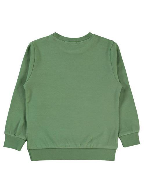 Timsah Baskılı 2-5 Yaş Sweatshirt - Haki2-3 Yaş