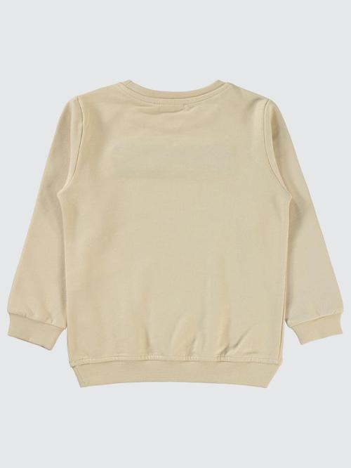 Raptor Dinazor Baskılı 2-5 Yaş Sweatshirt - Gri4-5 Yaş