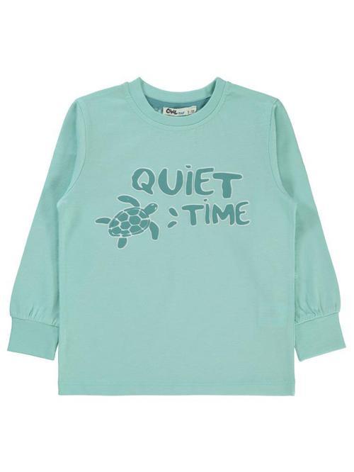 Kaplumbağa Baskılı 2-5 Yaş Sweatshirt - Mavi2-3 Yaş
