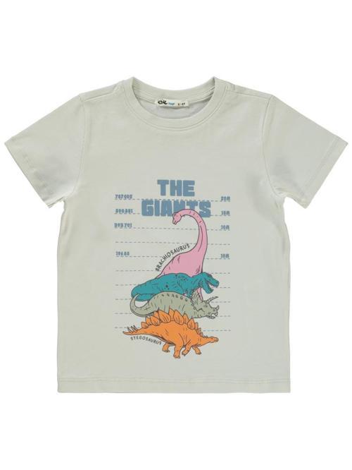 The Gıants Baskılı 2-5 Yaş Tişört - Gri2-3 Yaş