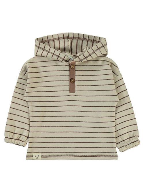 Çizgili Patlı Kapşonlu 2-5 Yaş Sweatshirt - Gri2-3 Yaş