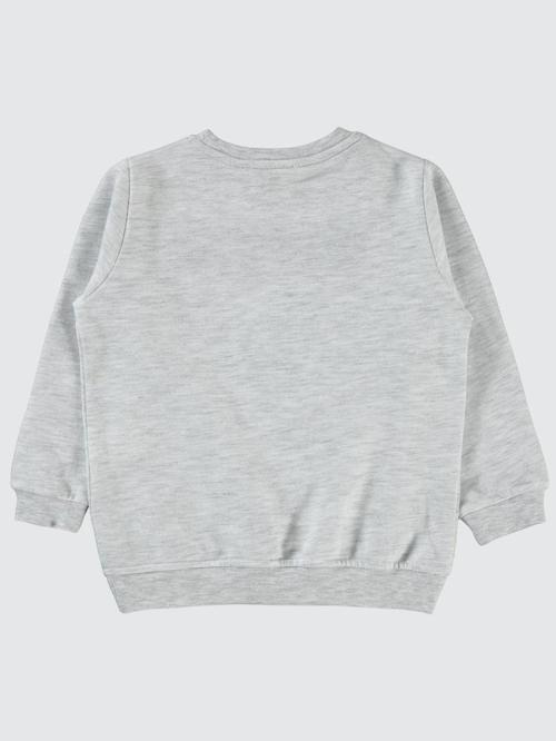 Raptor Dinazor Baskılı 2-5 Yaş Sweatshirt - Gri2-3 Yaş