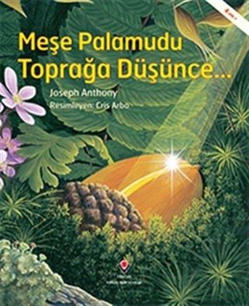 Meşe Palamudu Toprağa Düşünce