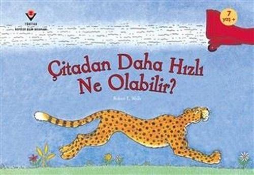 Çitadan Daha Hızlı Ne Olabilir?