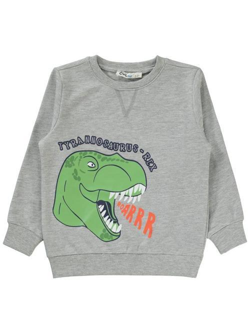 Dino Roar Baskılı 2-5 Yaş Sweatshirt - Gri3-4 Yaş