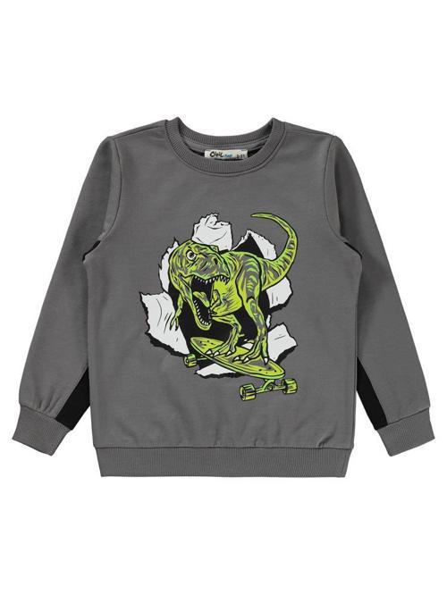 Dinozor Baskılı 2-5 Yaş Sweatshirt - Gri2-3 Yaş