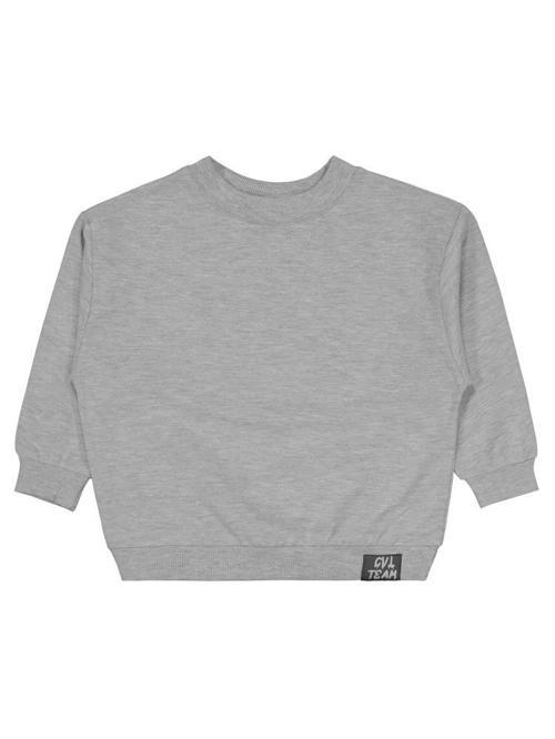 Cvl Team Etiketli 2-5 Yaş Sweatshirt - Gri3-4 Yaş