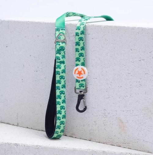 Frog Köpek Gezdirme Kayışı 120 cm x 2 cm