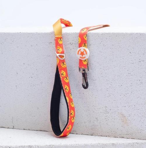 Poodle Köpek Gezdirme Kayışı 120 cm x 2 cm