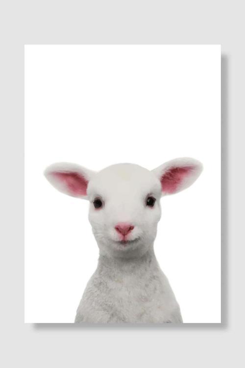 Kuzu Bebek Hayvan Çocuk Odası Poster Yüksek Kalite Çocuk Odası Dekoratif Duvar Poster