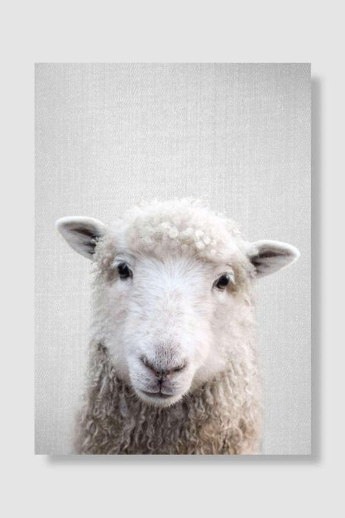 Renkli Koyun Çocuk Odası Poster Yüksek Kalite Çocuk Odası Dekoratif Duvar Poster