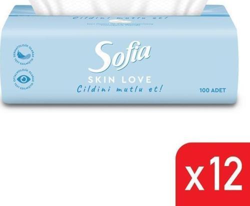 Skin Love Mendil 100 lü 12 Paket