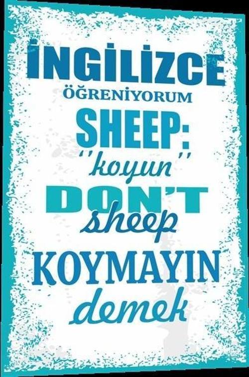 Duvar Yazıları İngilizce Öğreniyorum Sheep Koyun Demek 20x30