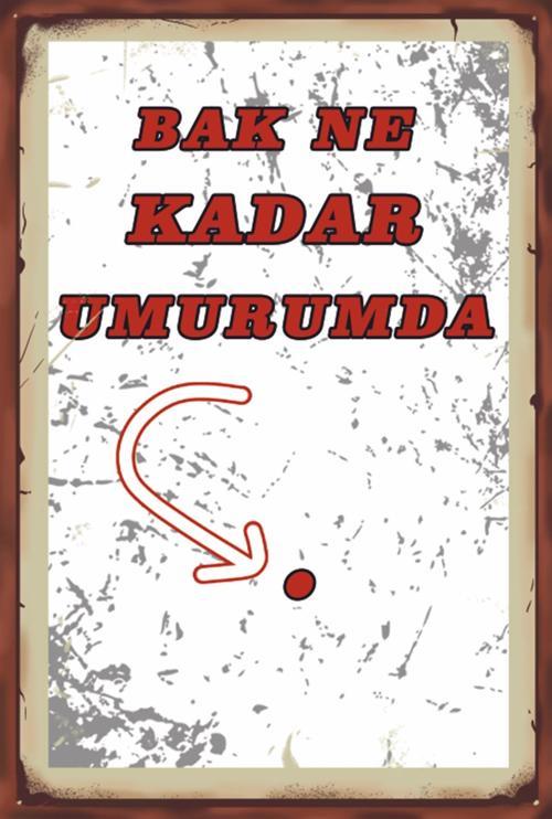 Bak Ne Kadar Umrumda Komik Sözler Retro Ahşap Poster 20x30