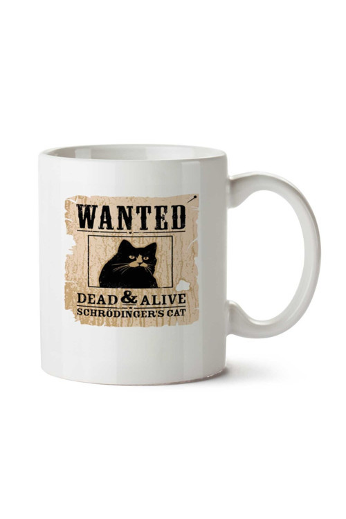 Art hedi̇ye O gato de Schrödinger Kedi Aranıyor iki Tarafı Baskılı Kupa Bardak