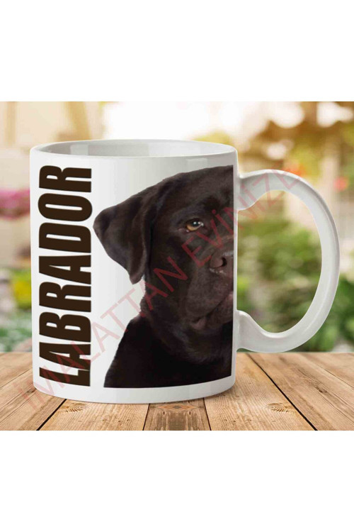 Art hedi̇ye 1-1117 Labrador Köpek Kupa Bardak