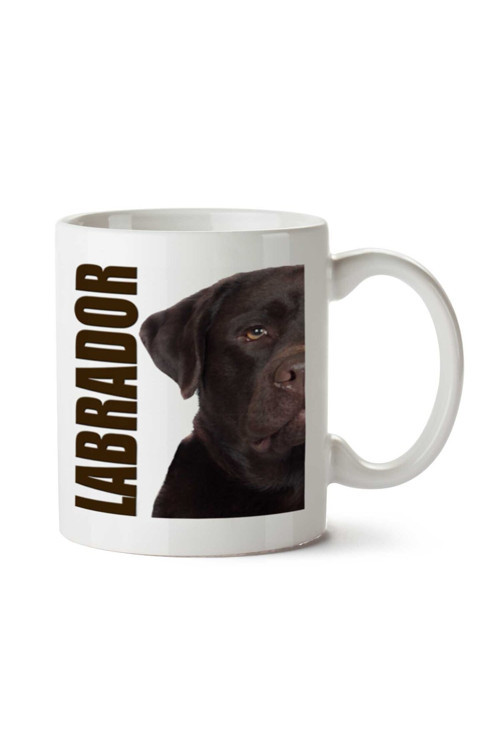 Art hedi̇ye Labrador Köpek iki Tarafı Baskılı Kupa Bardak