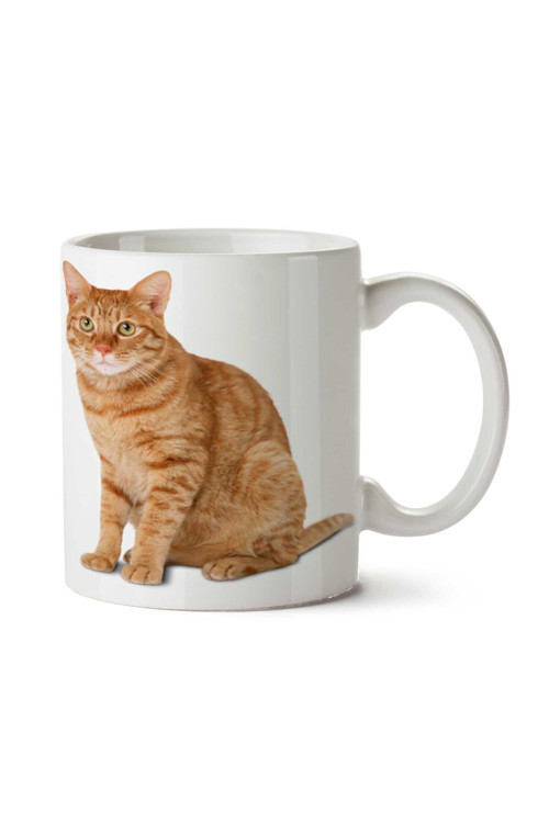 Art hedi̇ye Cat-PNG Kedi iki Tarafı Baskılı Kupa Bardak