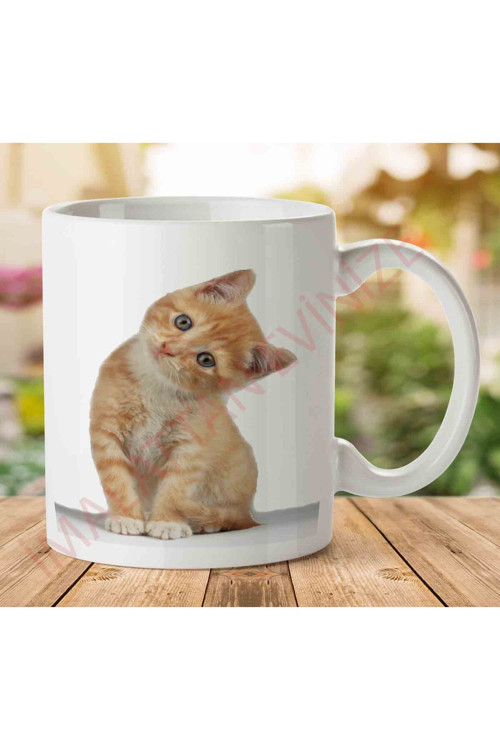 Art hedi̇ye Kitten-Free-PNG-Image İki Tarafı Baskılı Kupa Bardak.jpg