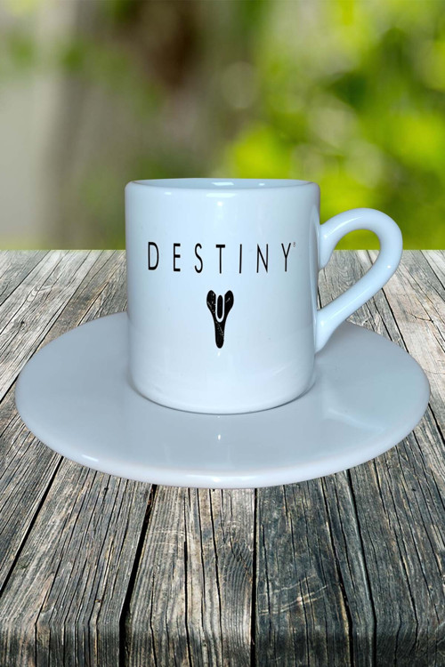 destiny Oyun Baskılı Türk Kahvesi Fincanı Tabaklı Kişiye Özel Model 1