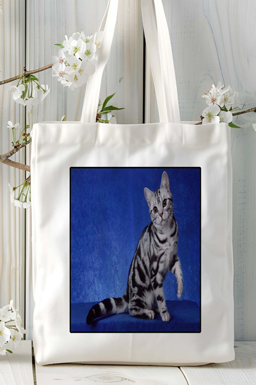 Art hedi̇ye American shorthair kedi Baskılı Bez Çanta Omuz Çantası Kişiye Özel model 15