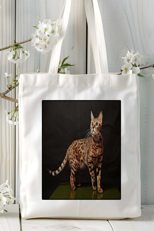 Art hedi̇ye bengal kedi Baskılı Omuz Çanta Kişiye Özel model 9