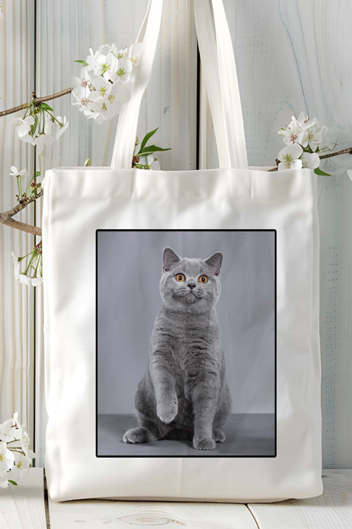 Art hedi̇ye British Shorthairt kedi Baskılı Omuz Çanta Kişiye Özel model 4