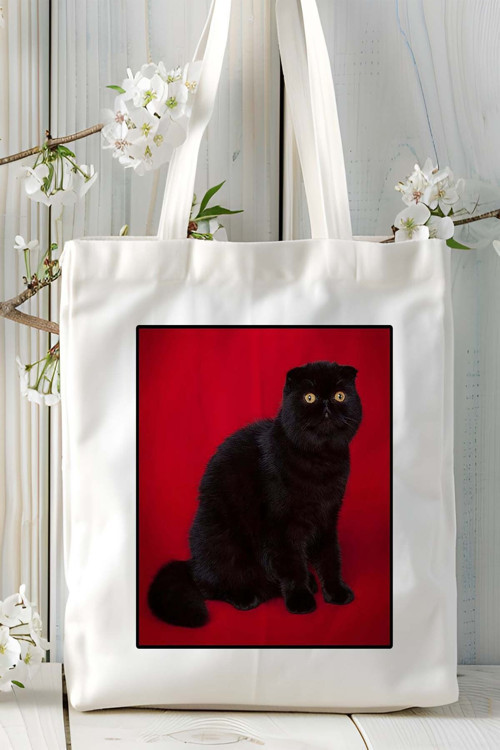 Art hedi̇ye Foldex kedisi kedi Baskılı Omuz Çanta Kişiye Özel model 1