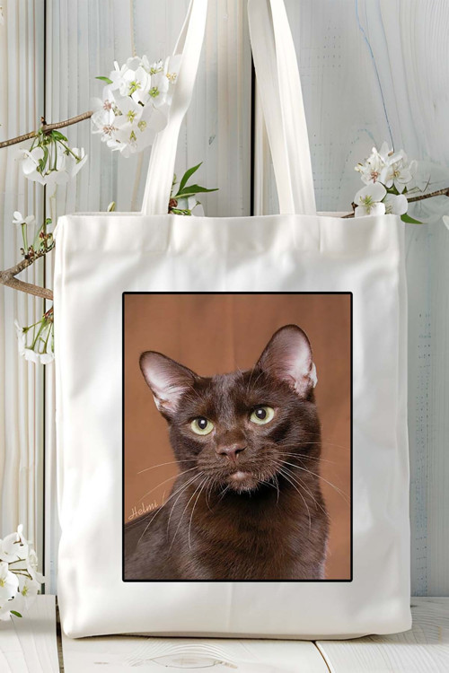 Art hedi̇ye Suphalak kedi Baskılı Bez Çanta Omuz Çantası Kişiye Özel model 9