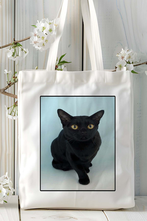 Art hedi̇ye bombay kedisi kedi Baskılı Omuz Çanta Kişiye Özel model 3