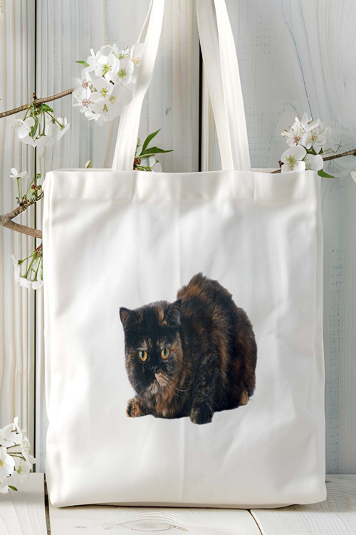 Art hedi̇ye Exotic Shorthair kedi Kişiye Özel Baskılı Bez Çanta Omuz Çantası desen 6