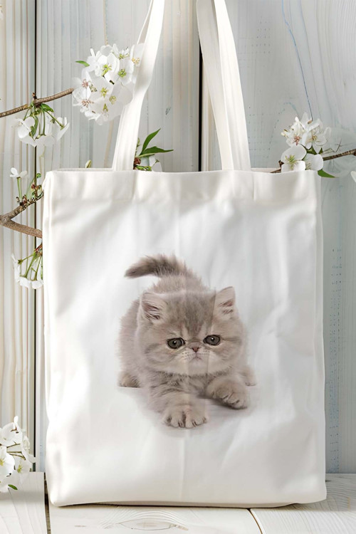 Art hedi̇ye Exotic Shorthair kedi Kişiye Özel Baskılı Omuz Çanta desen 1
