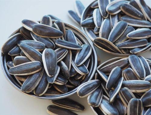 Çiğ Siyah Ay Çekirdeği Dakota İri Boy Elek Üstü İnegöl Yerli  1 Kg