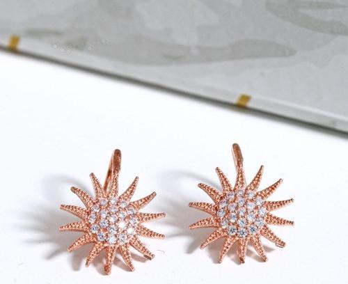 Güneş Model Taşlı  Rose Altın Kaplama Kadın Küpe