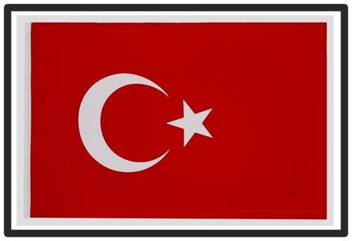 Stilo Bayrak 50X75 Türk Bayrağı