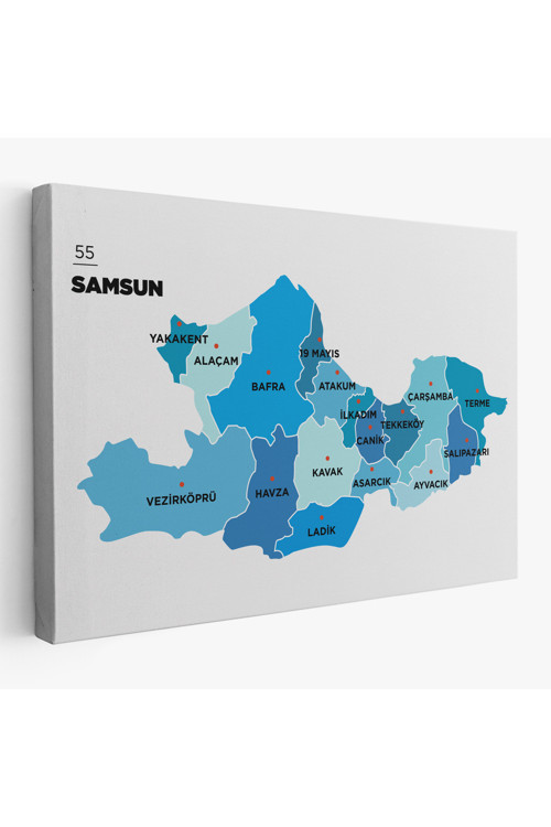 Samsun İli Ve İlçeler Haritası Dekoratif Kanvas Tablo 1447