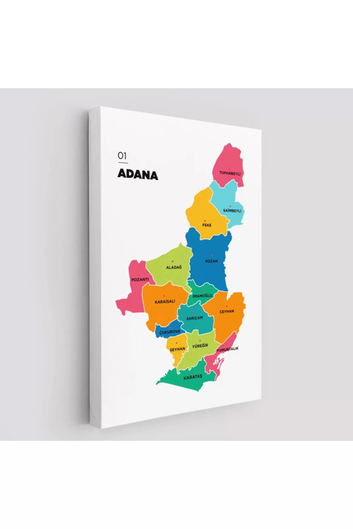 Adana İli Ve İlçeler Haritası Dekoratif Kanvas Tablo 1248