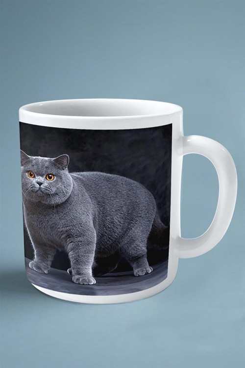 Art hedi̇ye British Shorthairt kedi isimli Kişiye Özel Baskılı Kupa Bardak model 2