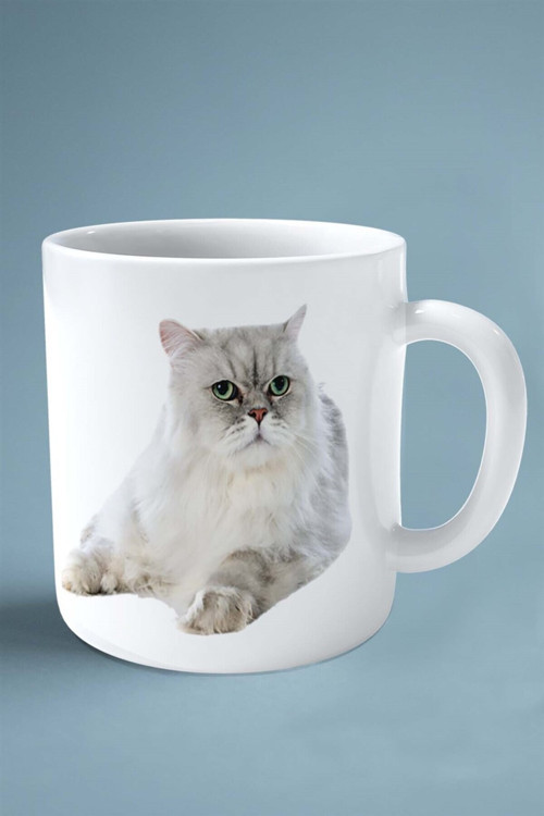 Art hedi̇ye Exotic Shorthair kedi isimli Kişiye Özel Baskılı Kupa Bardak model 15