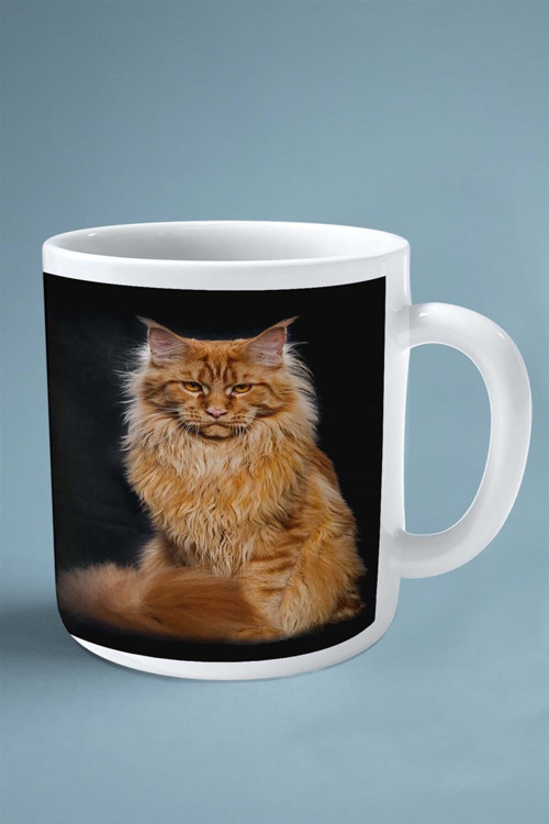 Art hedi̇ye Maine Coon kedi isimli Kişiye Özel Baskılı Kupa Bardak model 2