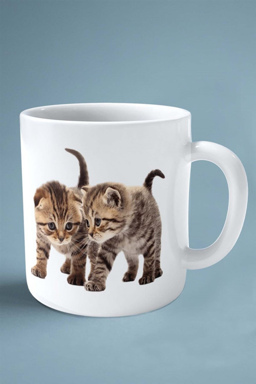 Art hedi̇ye Scottish Straight kedi isimli Kişiye Özel Baskılı Kupa Bardak model 5