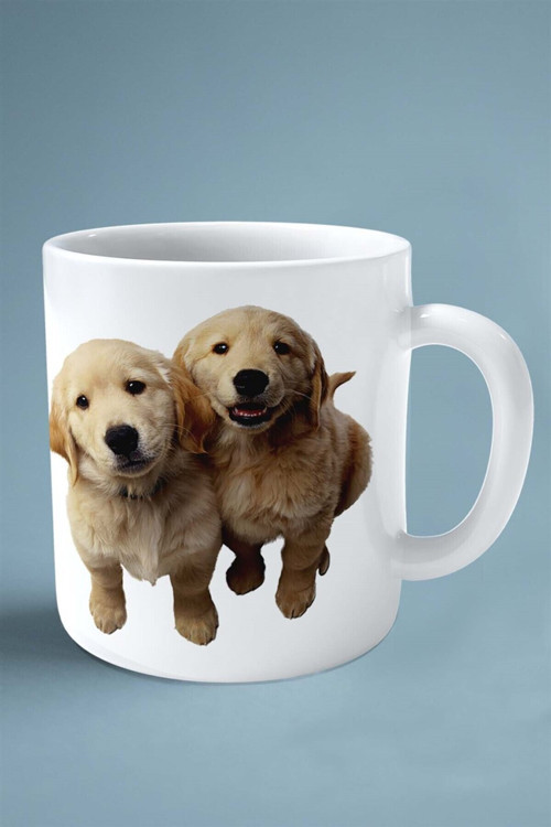 Art hedi̇ye Golden Retriever Köpek Isimli Kişiye Özel Baskılı Kupa Bardak Ikiz