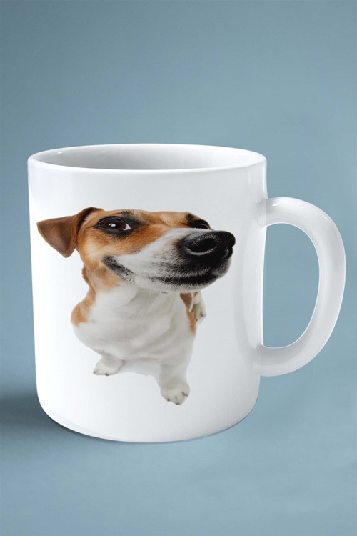 Art hedi̇ye Beagle Köpek Isimli Kişiye Özel Baskılı Kupa Bardak Koklama