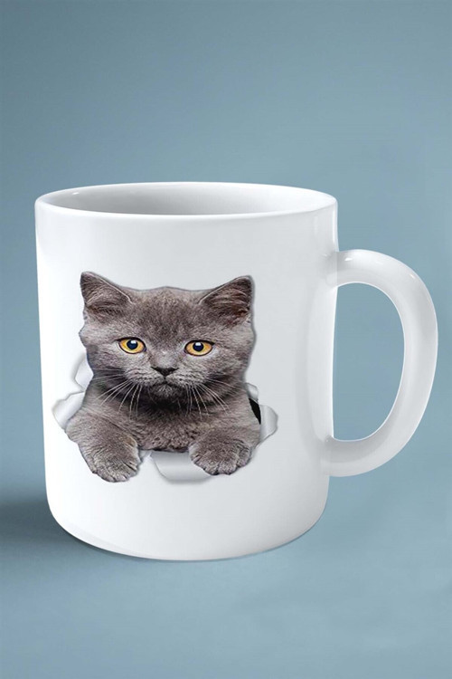 Art hedi̇ye British Shorthairt kedi isimli Kişiye Özel Baskılı Kupa Bardak yırtık
